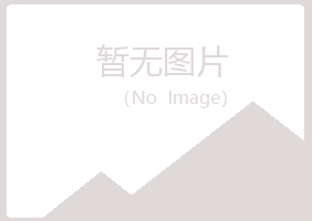 孝感冰夏咨询有限公司